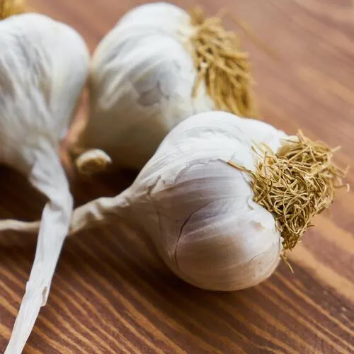 Tres bulbos de ajo con cáscara y raíces secas sobre una tabla de madera oscura