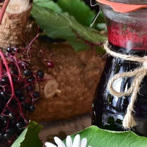 Frasco de vidrio con jarabe oscuro y una rama de bayas de sauco con hojas verdes en bodegón natural